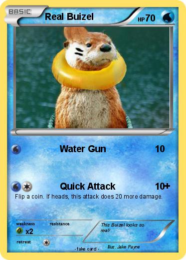 Pokemon Real Buizel