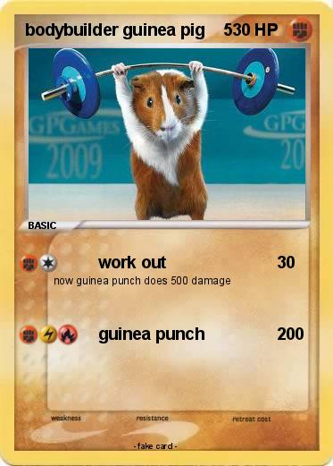 Pokemon bodybuilder guinea pig    5