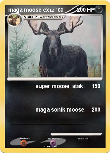 Pokemon maga moose ex