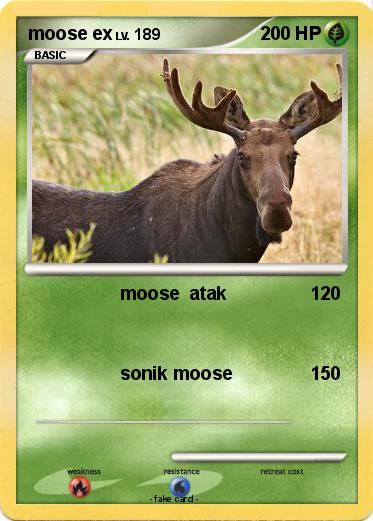 Pokemon moose ex