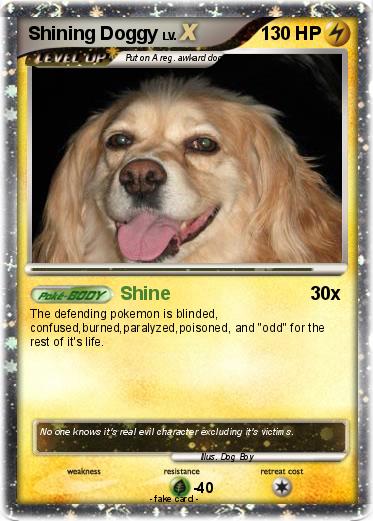 Pokemon Shining Doggy