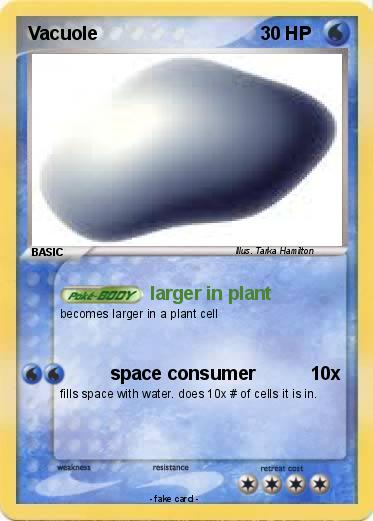 Pokemon Vacuole