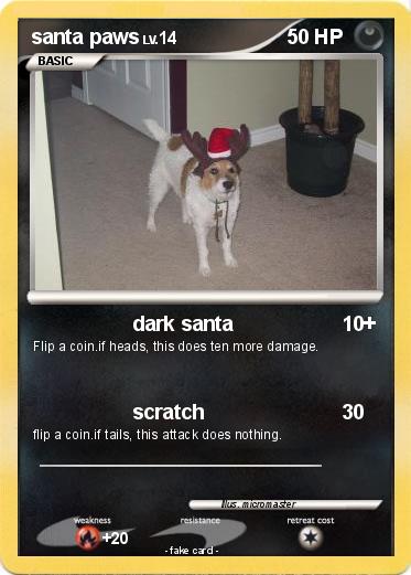 Pokemon santa paws