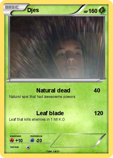 Pokemon Djes