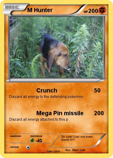 Pokemon M Hunter