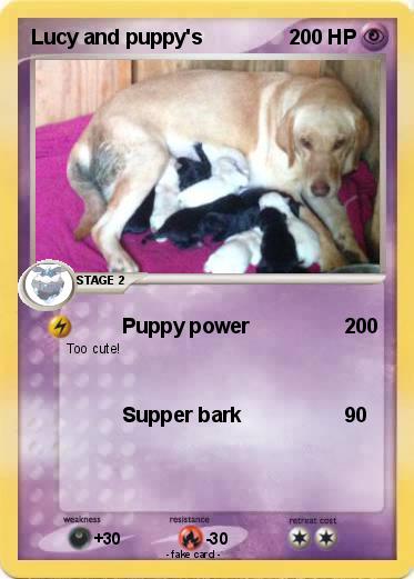 Pokemon Lucy and puppy's