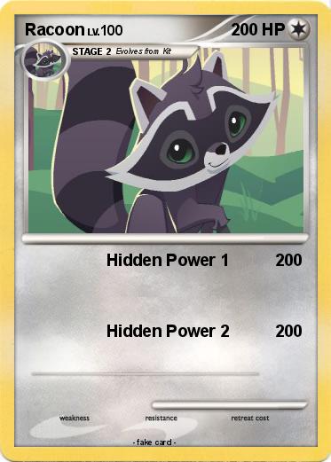 Pokemon Racoon