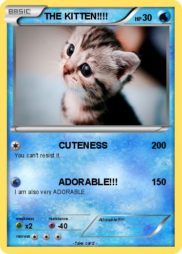 Pokemon THE KITTEN!!!!