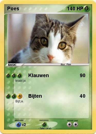 Pokemon Poes