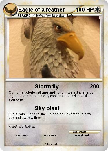 Pokemon Eagle of a feather