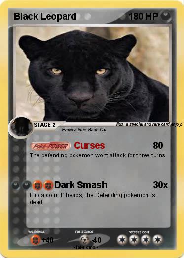 Pokemon Black Leopard