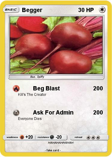Pokemon Begger