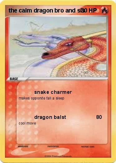 Pokemon the calm dragon bro and sis