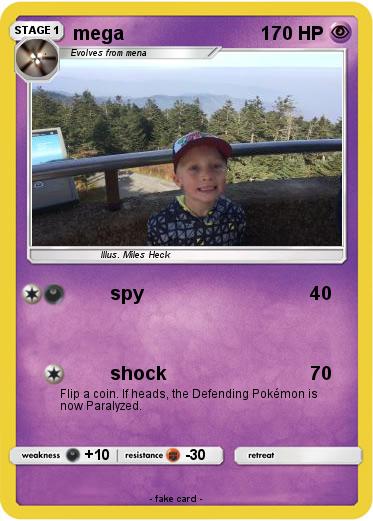 Pokemon mega