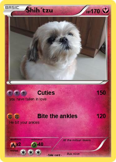 Pokemon Shih´tzu
