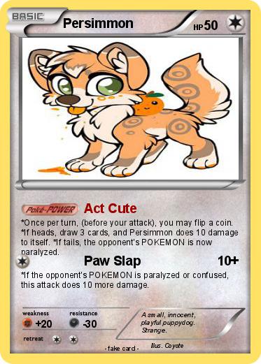 Pokemon Persimmon