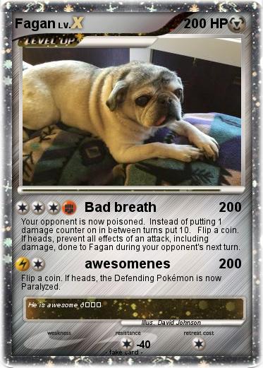 Pokemon Fagan