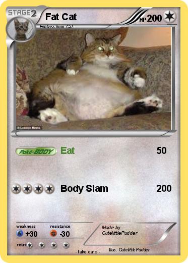 Pokemon Fat Cat