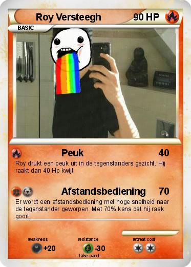 Pokemon Roy Versteegh