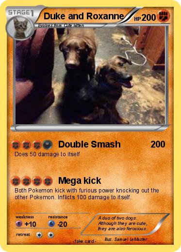 Pokemon Duke and Roxanne