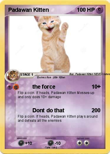 Pokemon Padawan Kitten