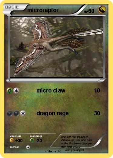 Pokemon microraptor