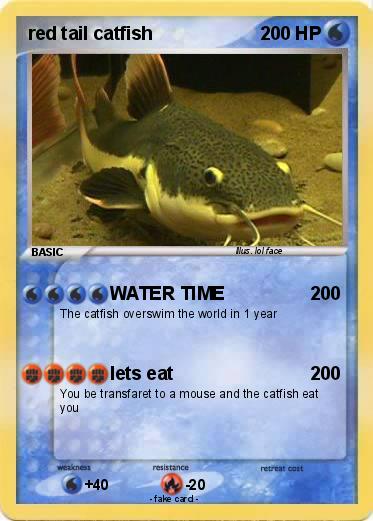 Pokemon red tail catfish