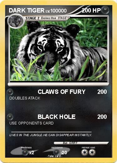 Pokemon DARK TIGER
