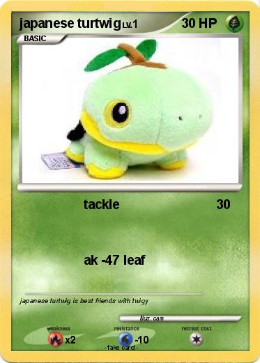 Pokemon japanese turtwig