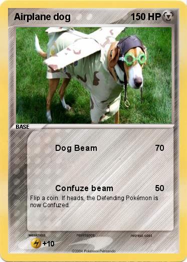 Pokemon Airplane dog