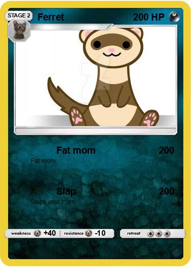 Pokemon Ferret