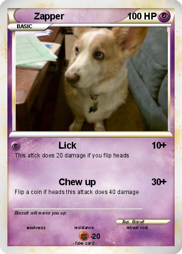 Pokemon Zapper