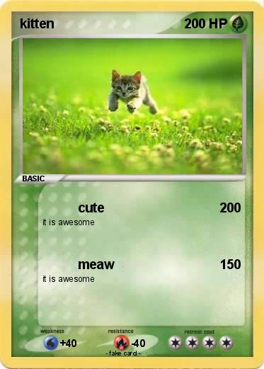 Pokemon kitten