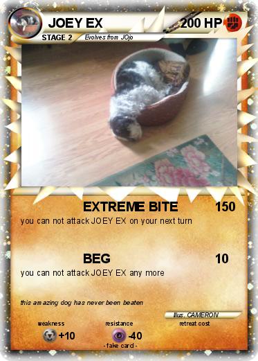 Pokemon JOEY EX