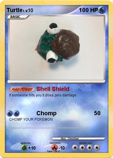 Pokemon Turtle