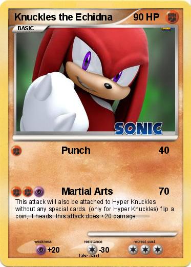 Pokemon Knuckles the Echidna