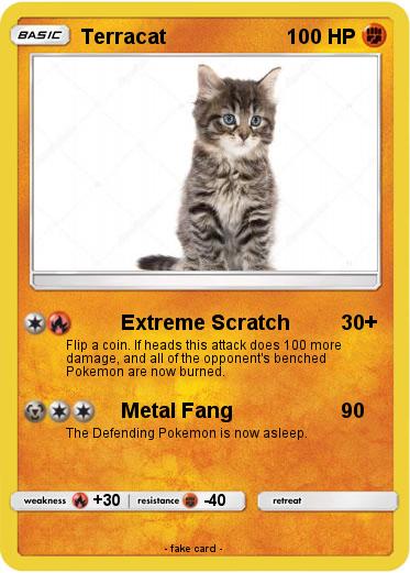 Pokemon Terracat