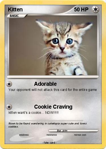 Pokemon Kitten