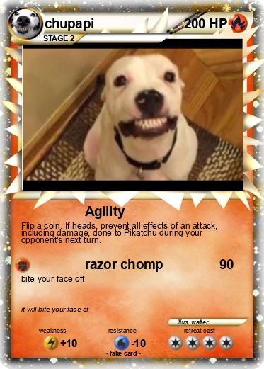 Pokemon chupapi
