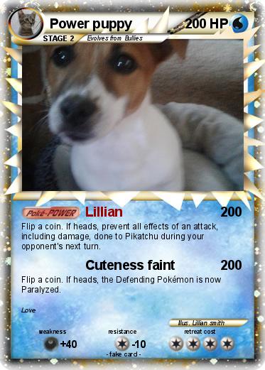 Pokemon Power puppy