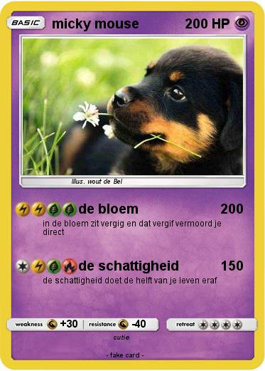 Pokemon micky mouse