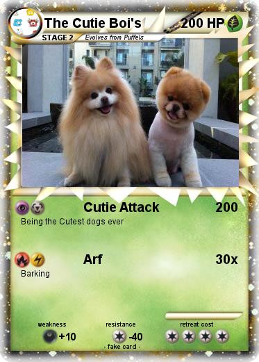 Pokemon The Cutie Boi's