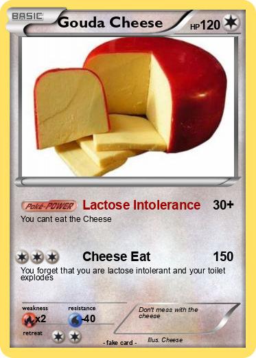 Pokemon Gouda Cheese