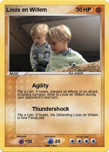 Pokemon Louis en Willem