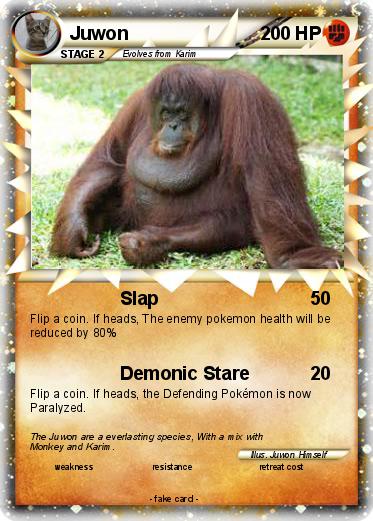 Pokemon Juwon