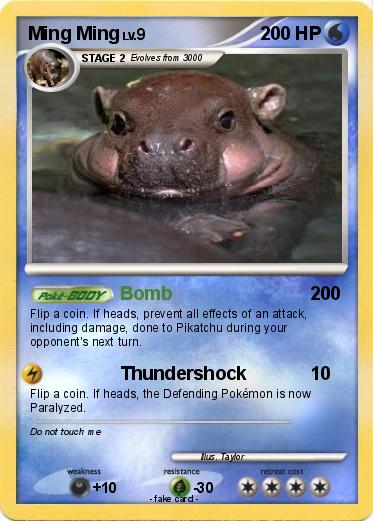 Pokemon Ming Ming