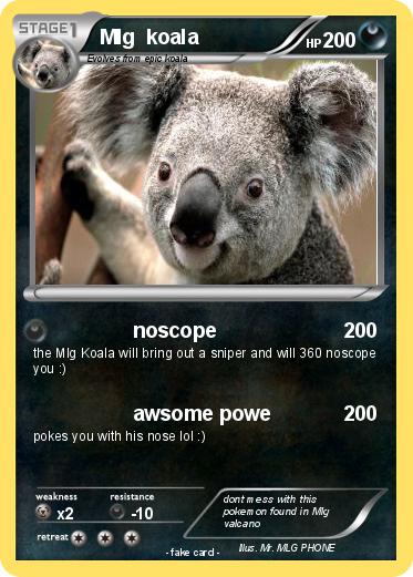 Pokemon Mlg  koala