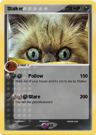 Pokemon Stalker