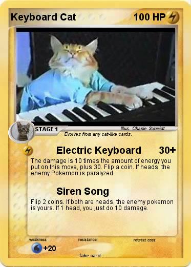 Pokemon Keyboard Cat