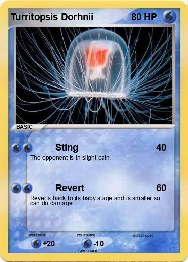 Pokemon Turritopsis Dorhnii